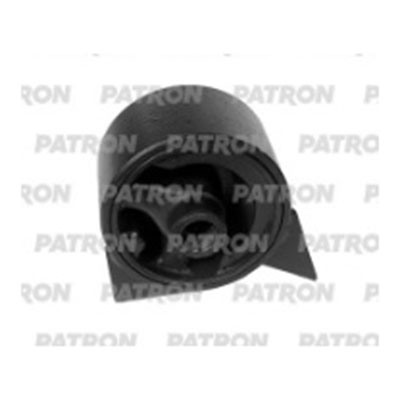 PSE30853 Patron