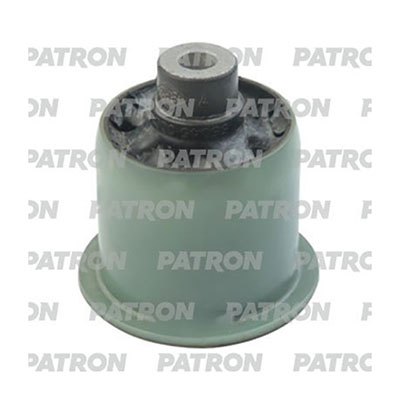 PSE11749 Patron