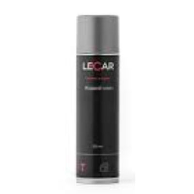 LECAR000020211 Lecar