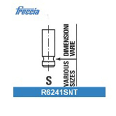 R6248SNT Freccia