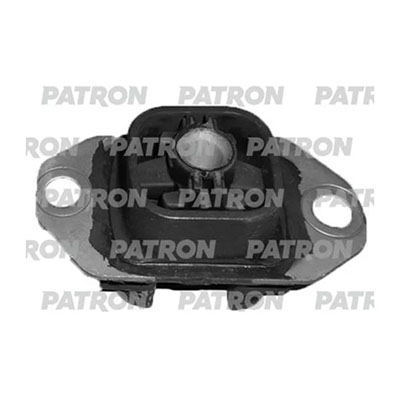 PSE30379 Patron